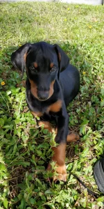 IMG_20191127_114002.webp