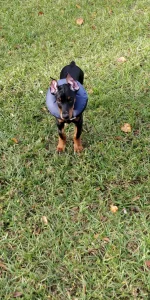 IMG_20191212_082722.webp