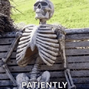 1773106705876.gif