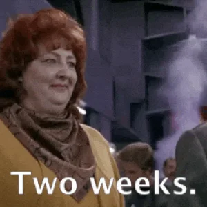 giphy (1).gif