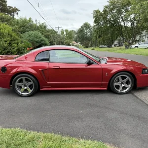 Mustang.webp