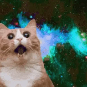 Attach25642_20191004_232101.gif
