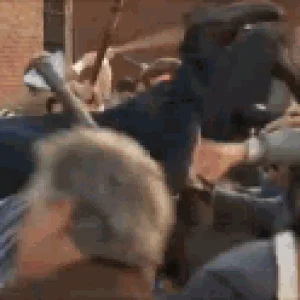 1000013459.gif