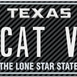 -CAT V-.webp