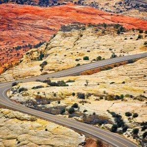 20250711_113159(1).webp