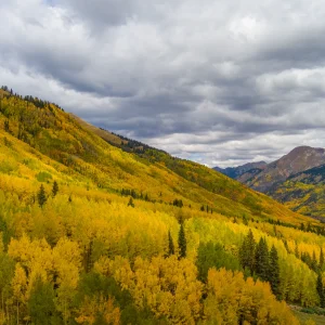 20250927-MAX_0219-HDR.webp