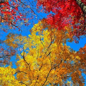 20251103_142235.webp