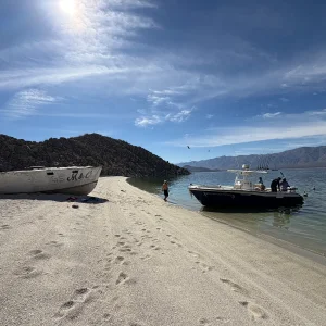 IMG_0345.webp