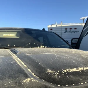 1763997271749.webp