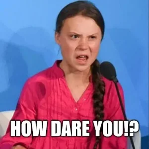 Greta-Thunberg-how-dare-you.3.meme.webp