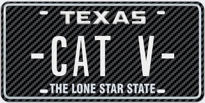 -CAT V-.webp