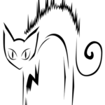 www.skeerdycat.com